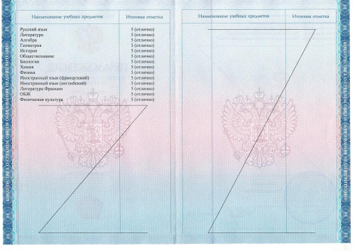Аттестат об основном общем образовании фото 3